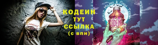 дмт Арсеньев