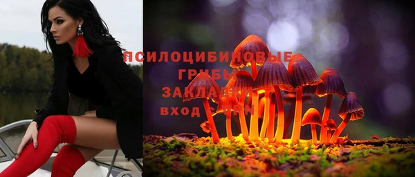 дмт Арсеньев