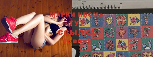 дмт Арсеньев