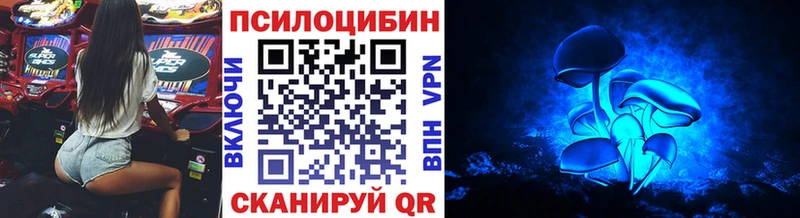 Галлюциногенные грибы Psilocybine cubensis  Салават 