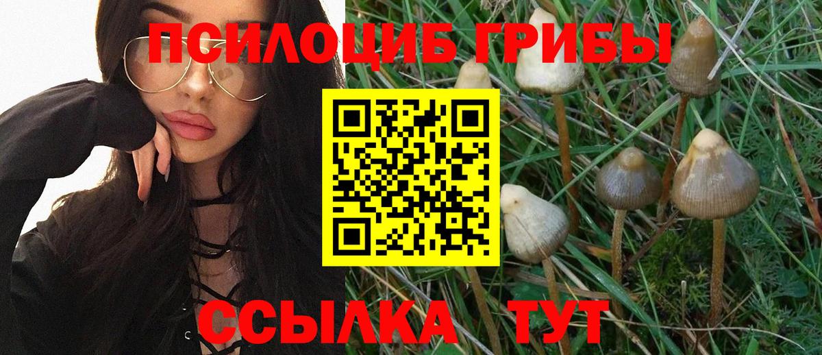 Псилоцибиновые грибы ЛСД  Вход с VPN  Салават  Галлюциногенные грибы Magic Shrooms 