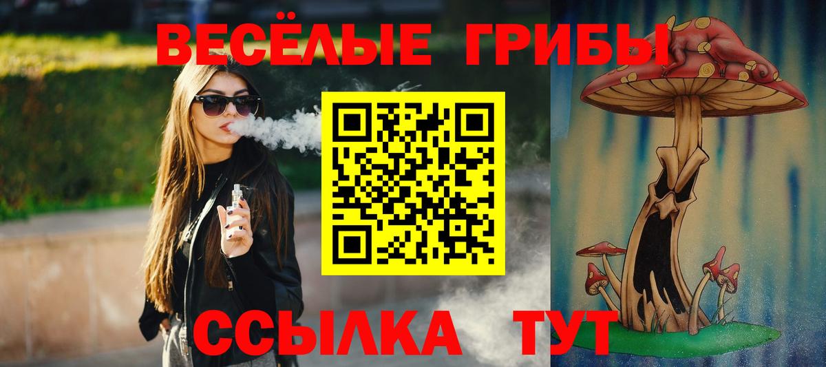 Псилоцибиновые грибы прущие грибы Салават